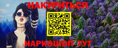 прущие грибы Абакан