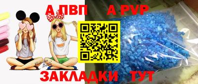 прущие грибы Абакан