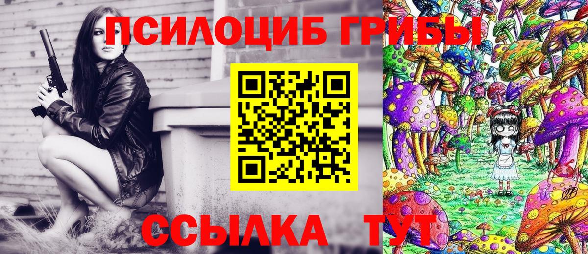 Псилоцибиновые грибы прущие грибы Аргун